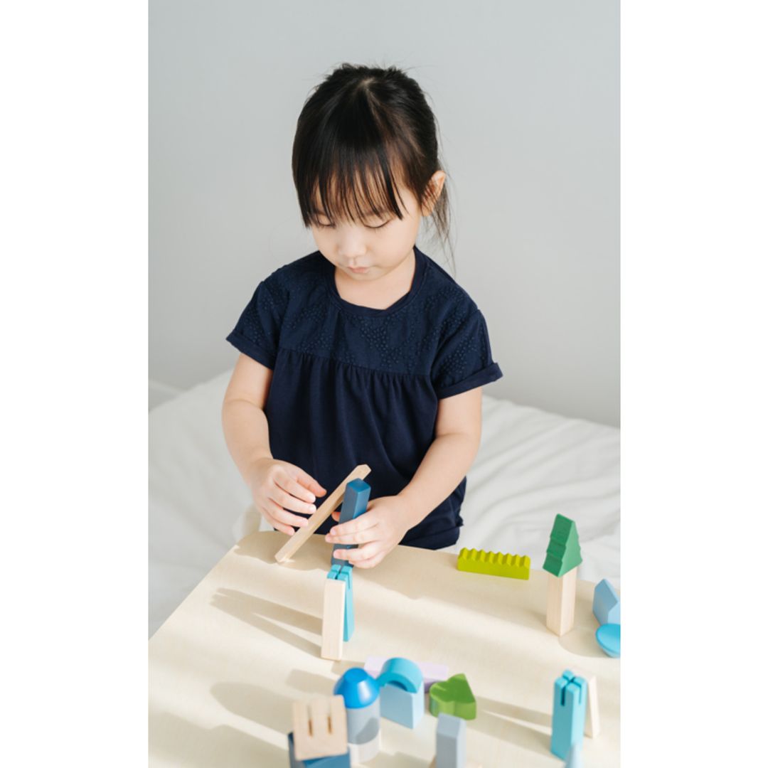 Plan Toys Urban City Blocks