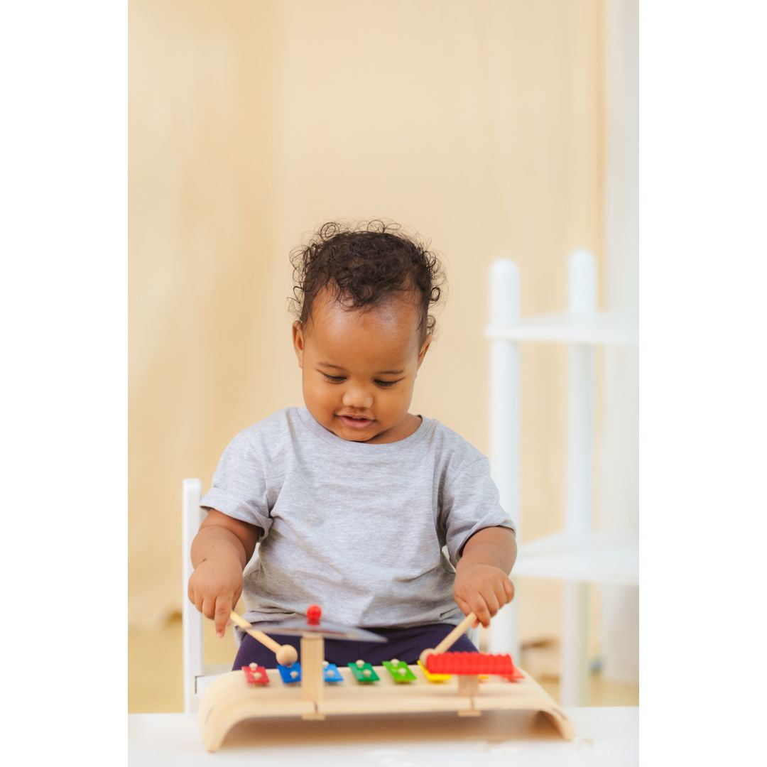 Plan Toys Musical Set – My Toy Wagon