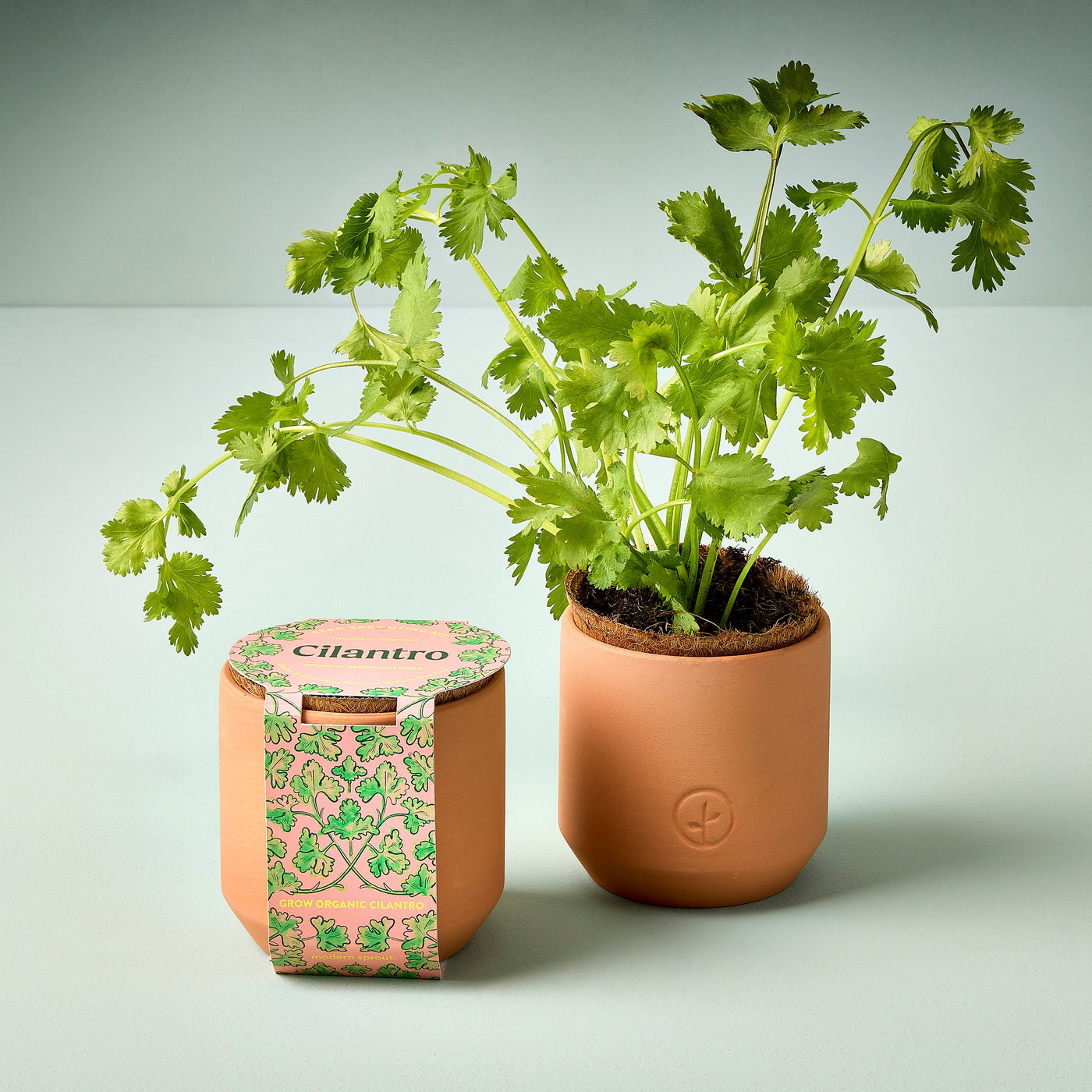 Tiny Terracotta Herb Kits