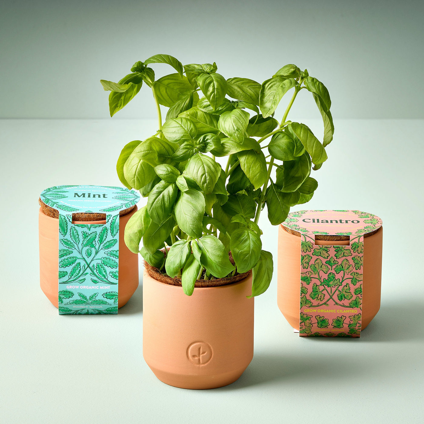 Tiny Terracotta Herb Kits