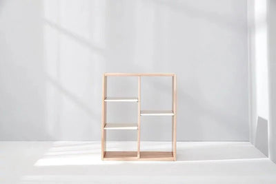 Calla 3 Adjustable Shelf Storage Unit with Hanging Rail
