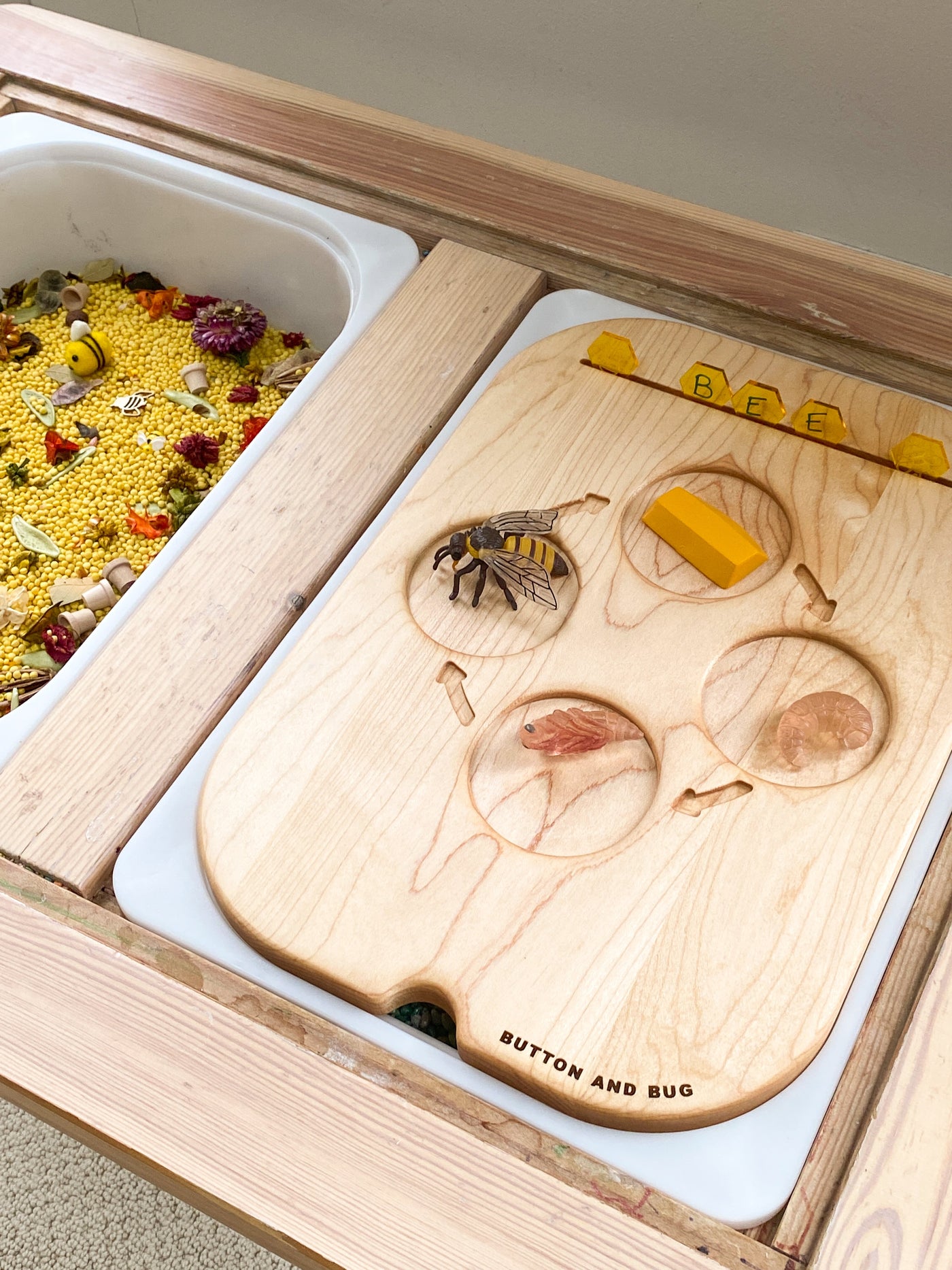 Dual Sided Life Cycle Insert