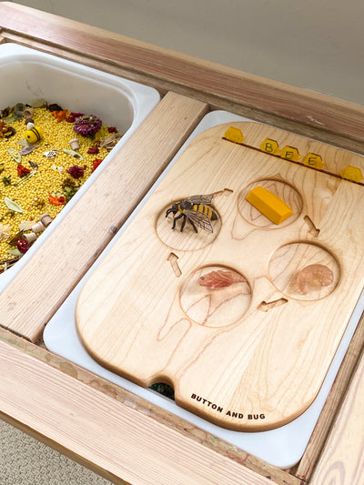 Dual Sided Life Cycle Insert