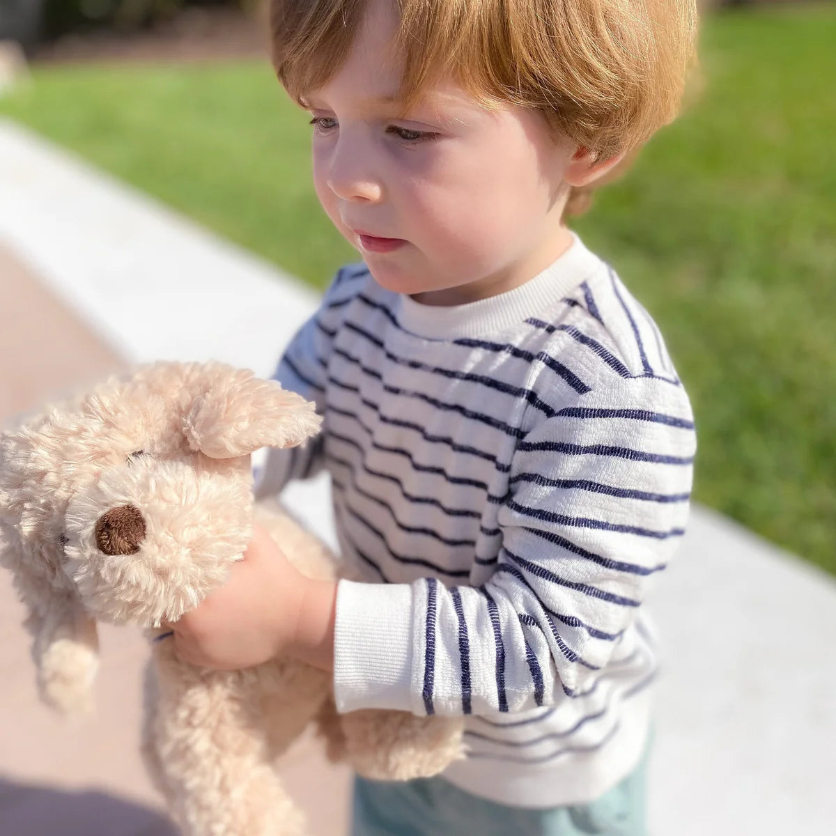 Bentley Golden Doodle - Lg