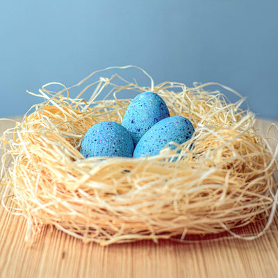 Pre-Order Brontosaurus Eggs Set