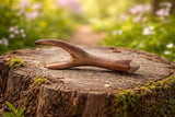 Bumbu Black Poplar Branch · view 1