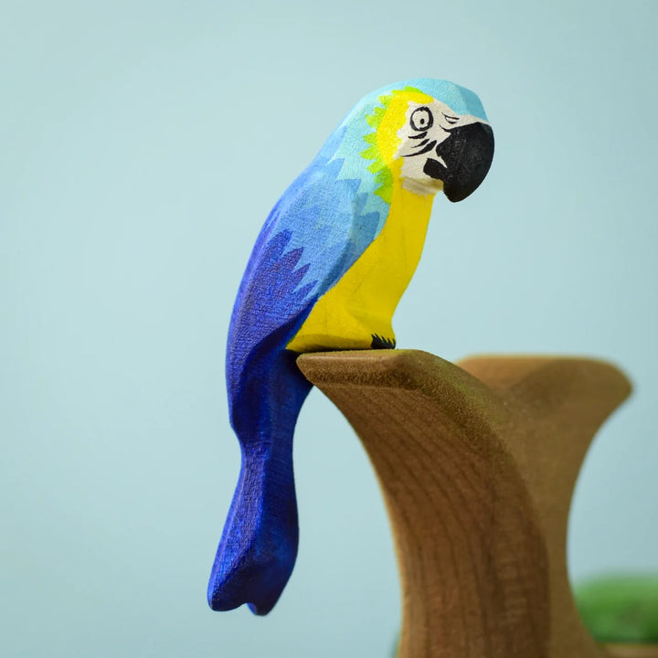 Bumbu Blue Macaw Parrot