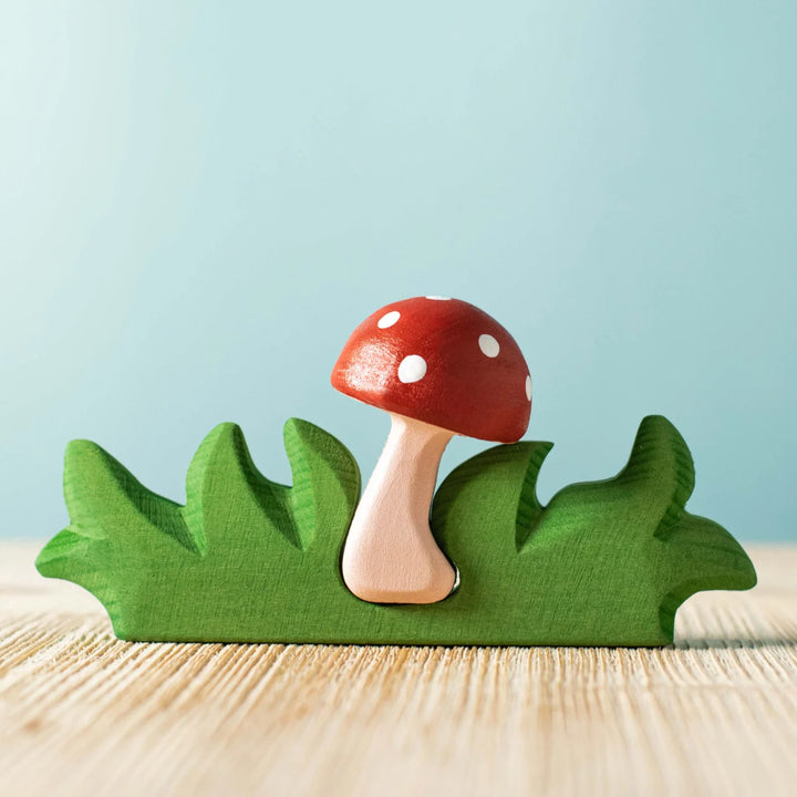 Bumbu Mushroom in Grass