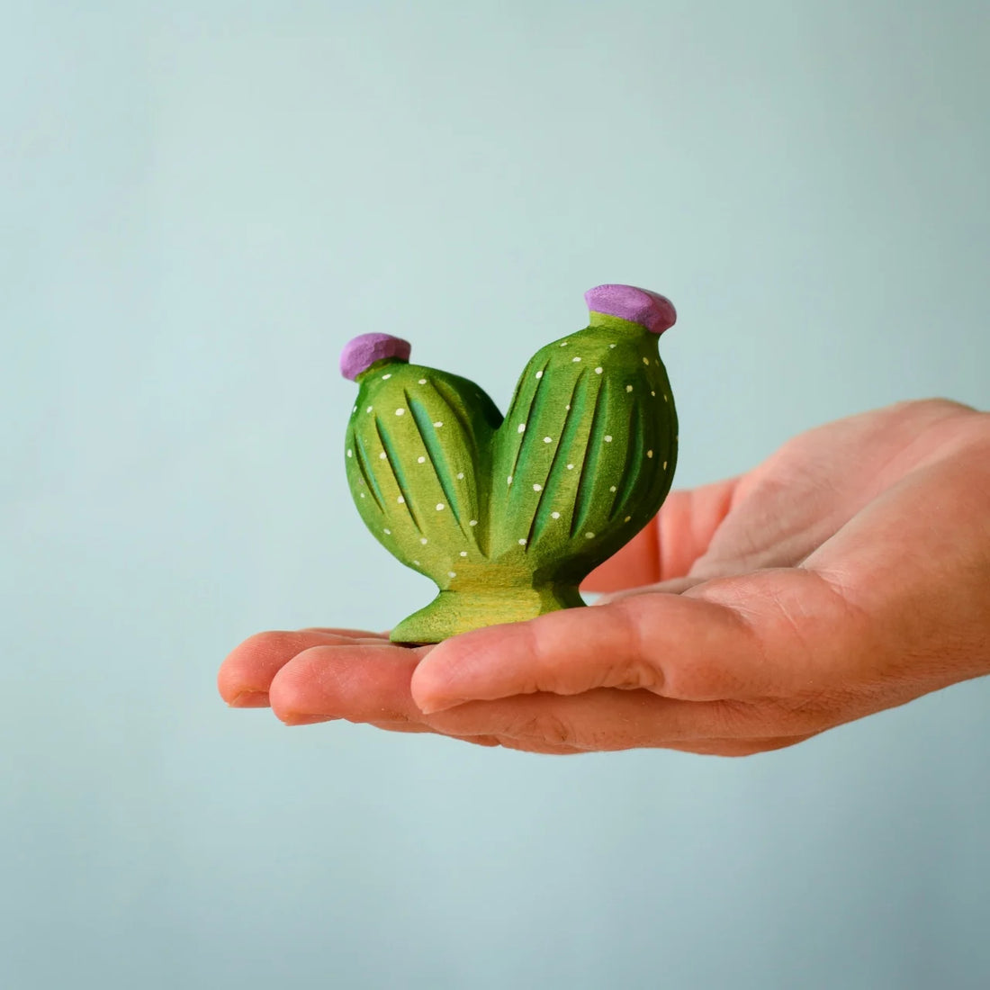 Bumbu Pin Cushion Cactus