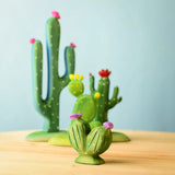 Bumbu Pin Cushion Cactus · view 2