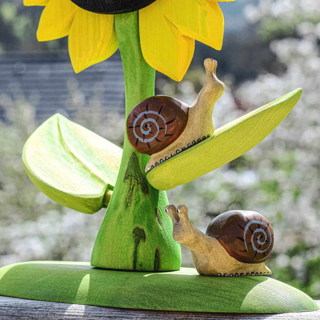 Bumbu Snail