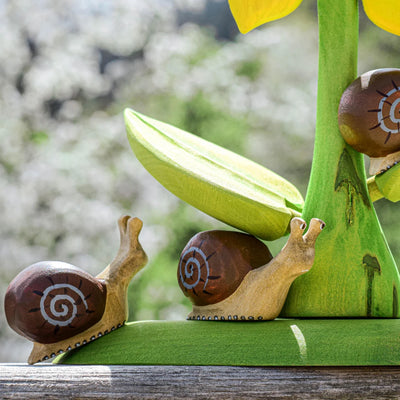 Bumbu Snail