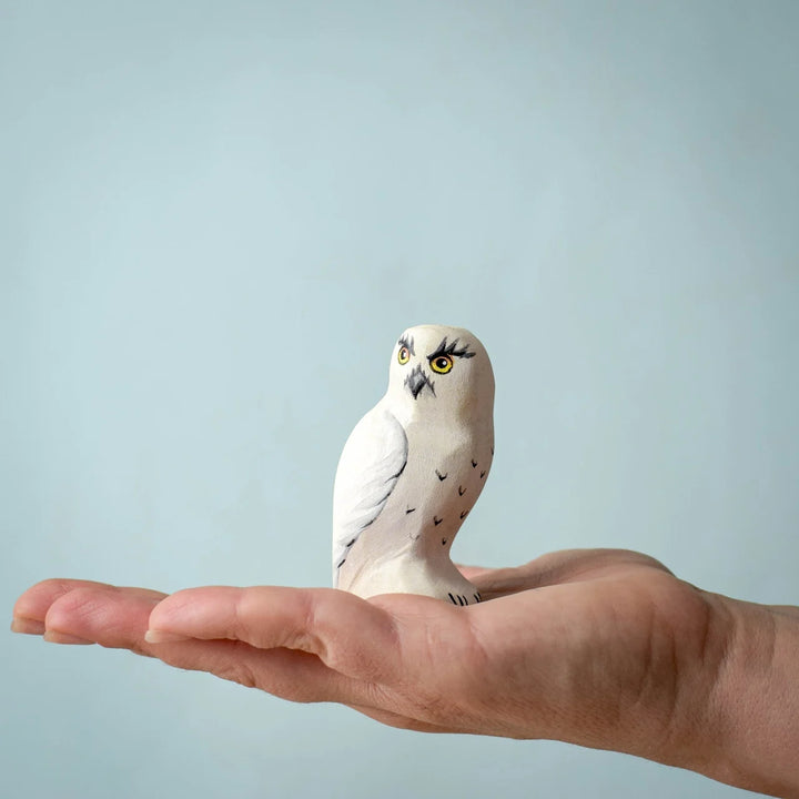 Bumbu Snowy Owl