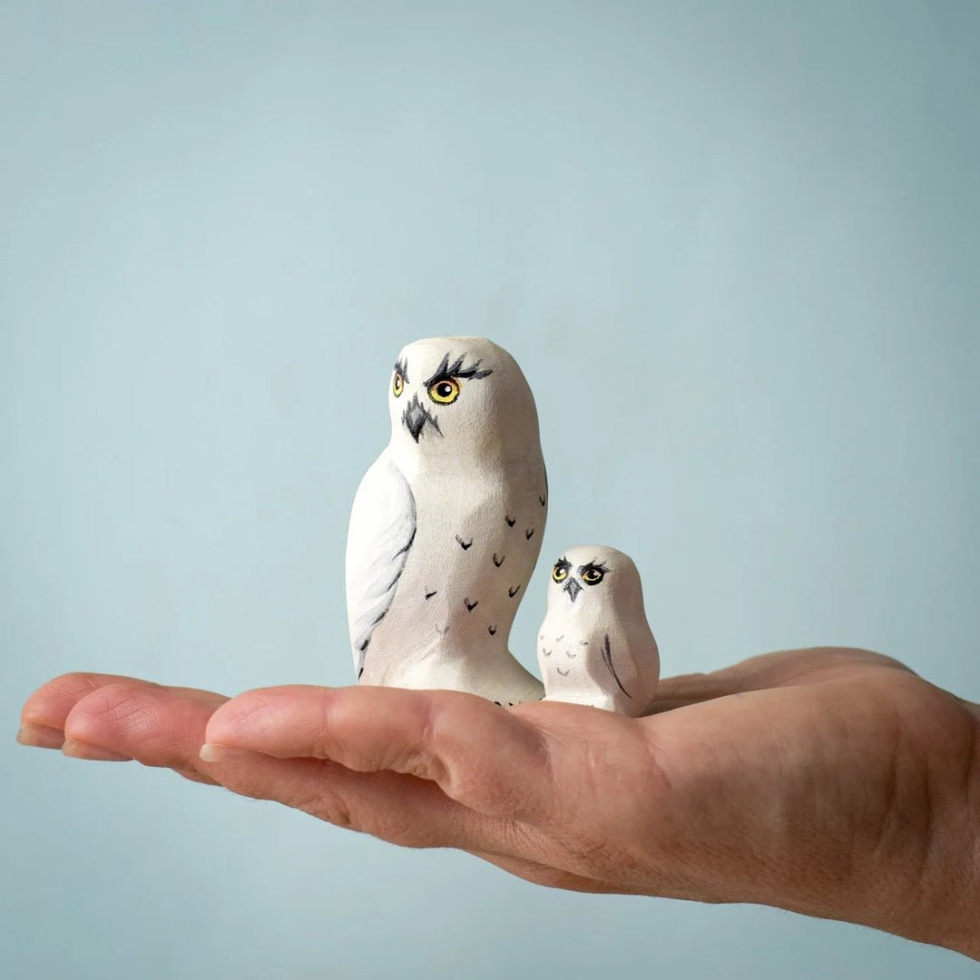 Bumbu Snowy Owl Set