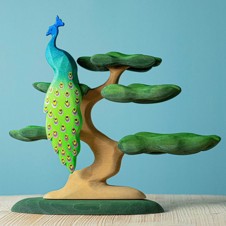 Bumbu Bonsai Tree
