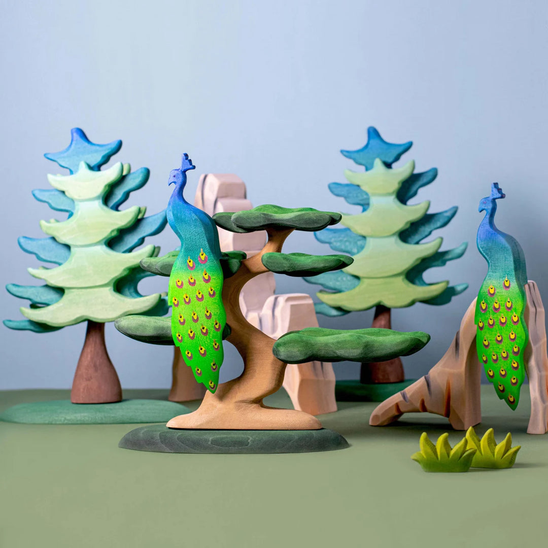 Bumbu Bonsai Tree