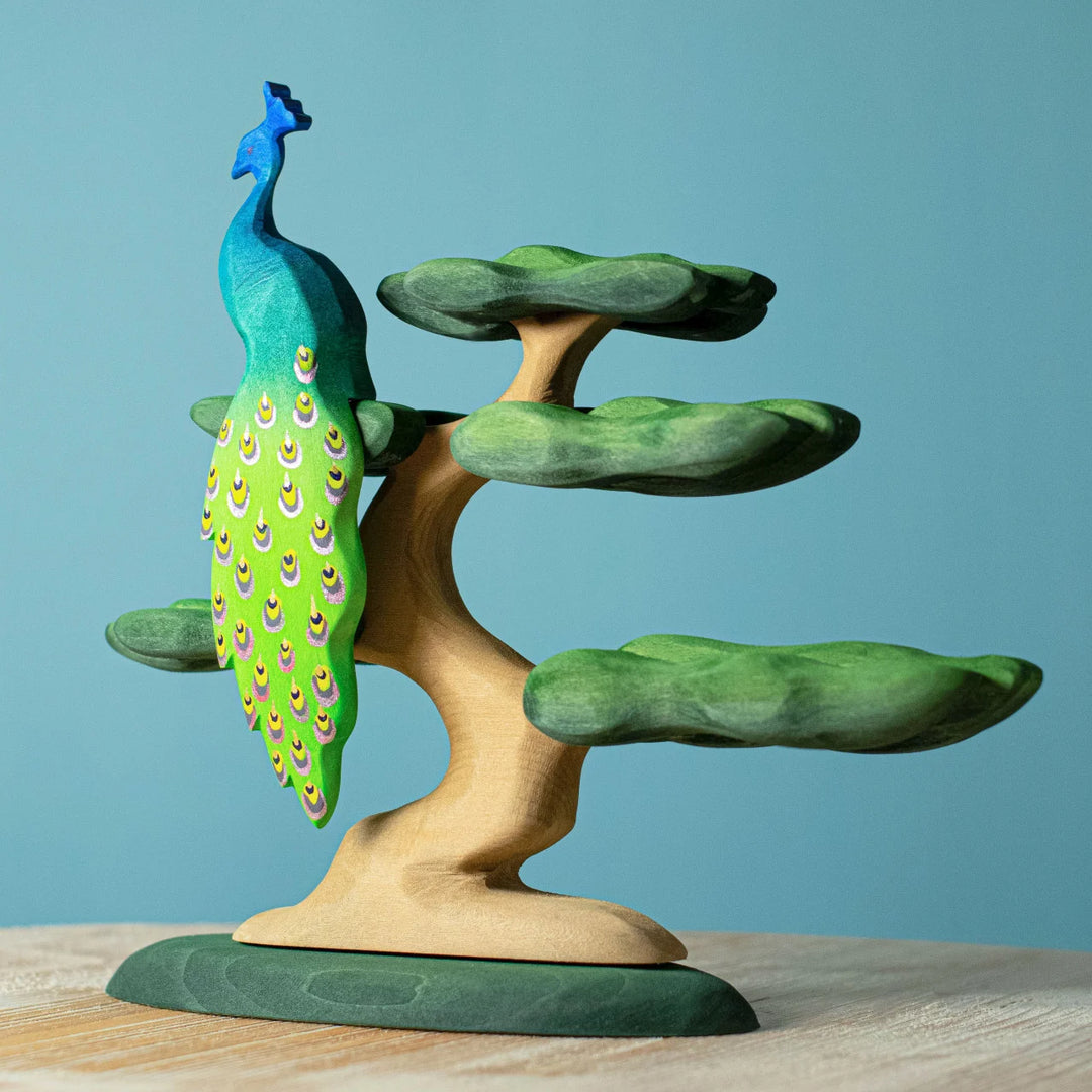 Bumbu Bonsai Tree