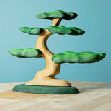 Bumbu Bonsai Tree · view 6