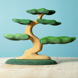 Bumbu Bonsai Tree · view 1