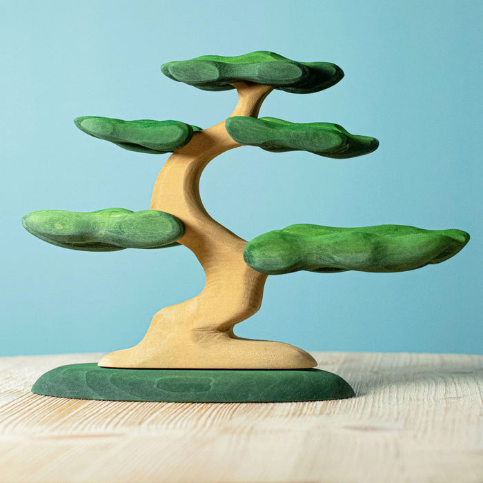 Bumbu Bonsai Tree
