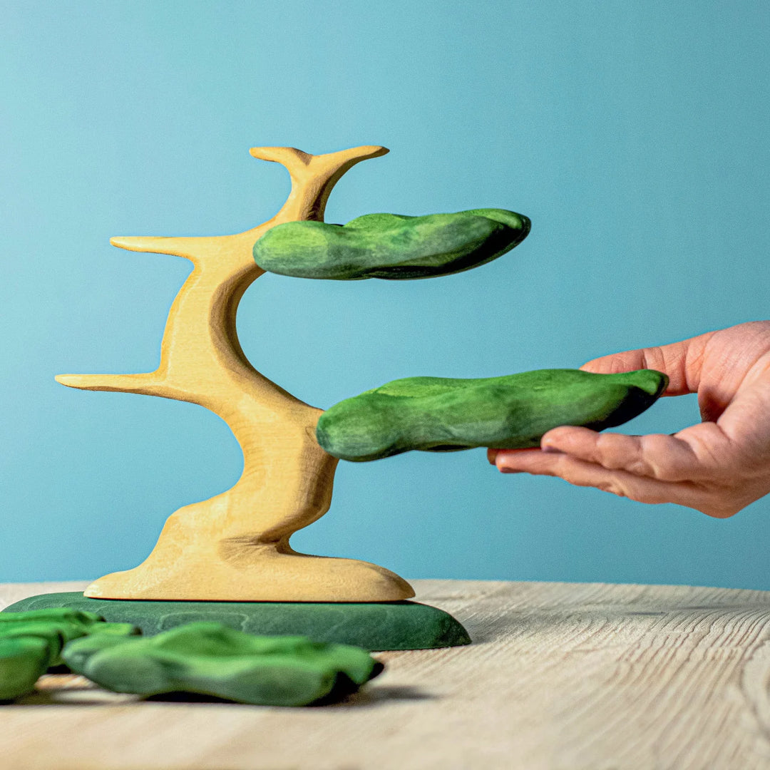 Bumbu Bonsai Tree
