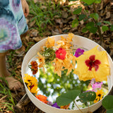 Busy Bee Tray Reflective Mirror Insert (Accessory Only) · view 3