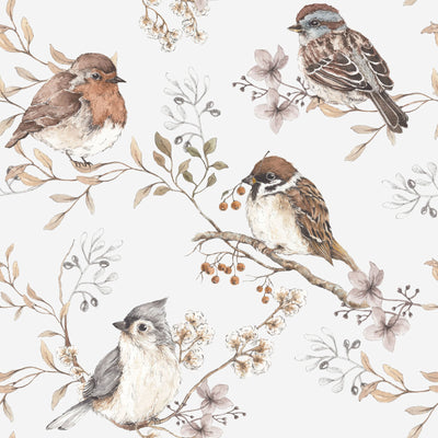 White/Gray Birds Wallpaper