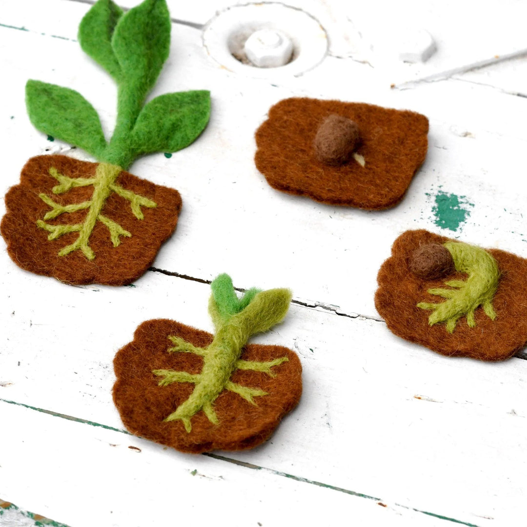 Felt Lifecycle of a Bean Plant