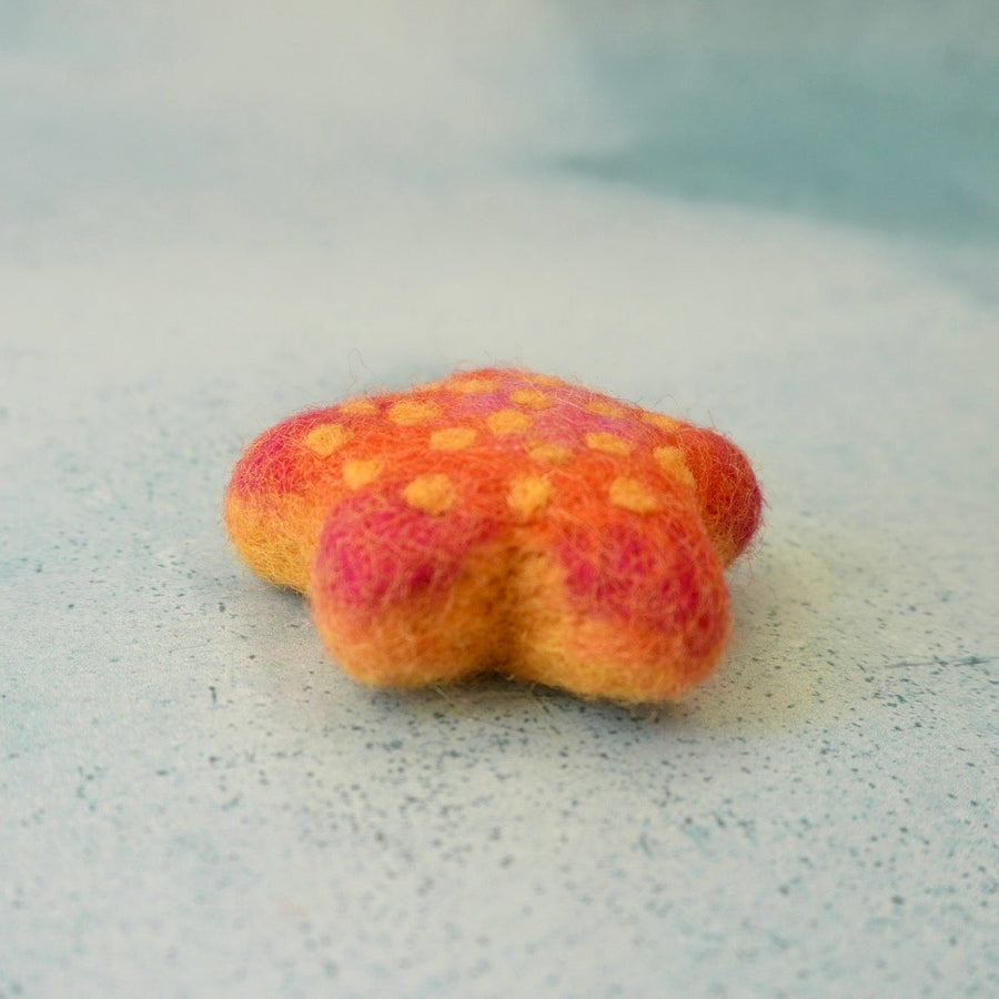 Felt Star Fish, hand-felted from New Zealand wool felt.
