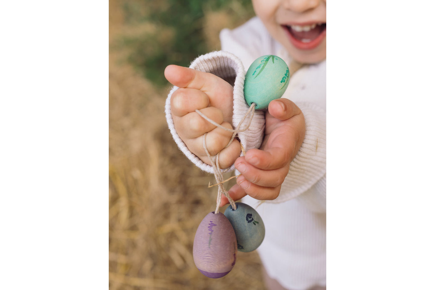 Grapat Aurora Eggs Hanging Ornaments