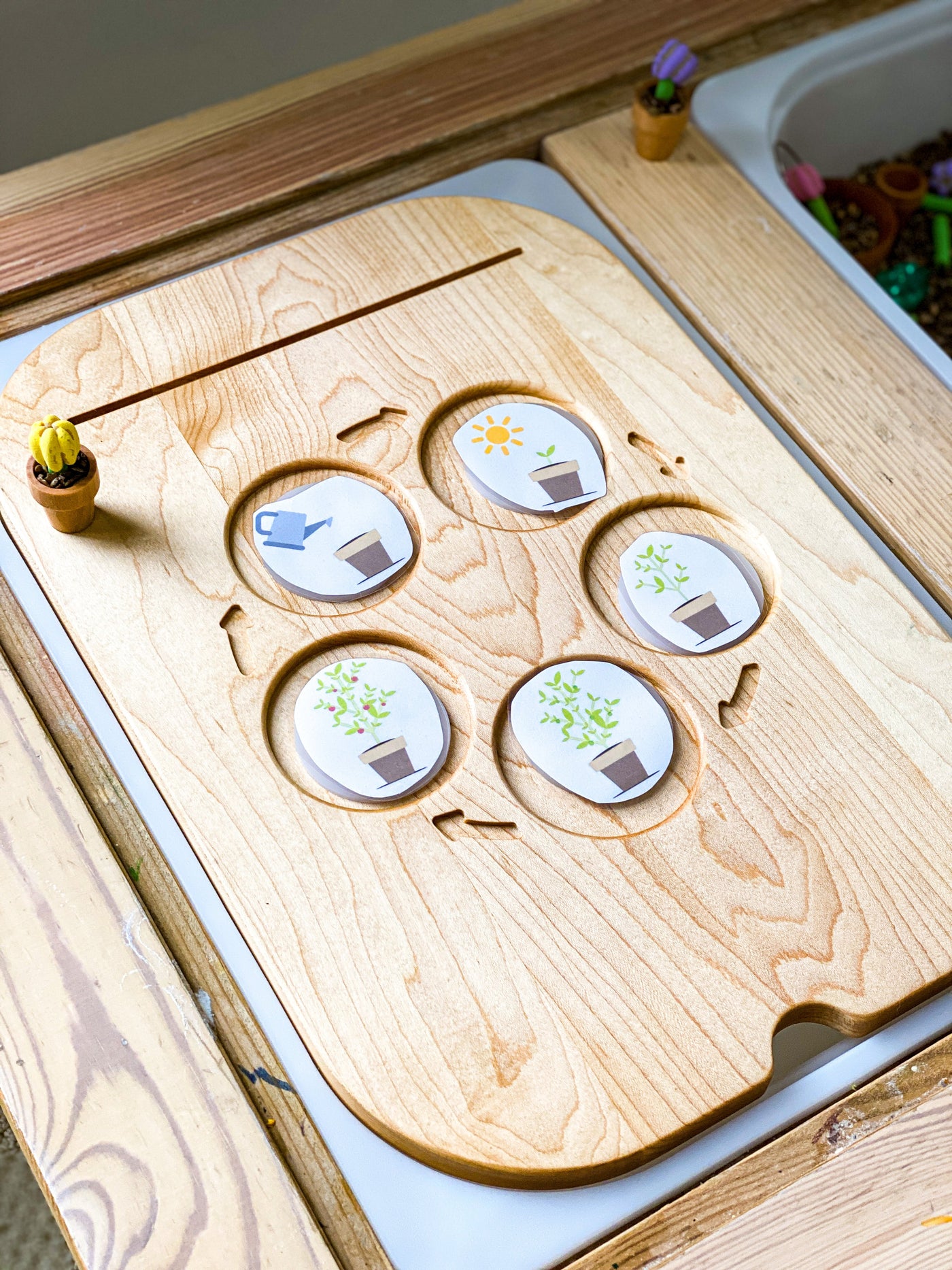 Dual Sided Life Cycle Insert