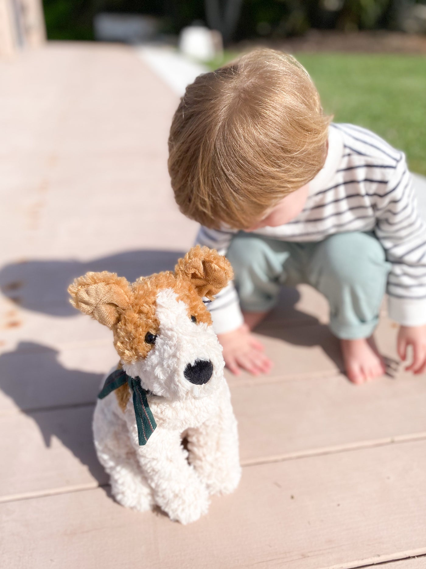 Jacquesthe Jack Russell