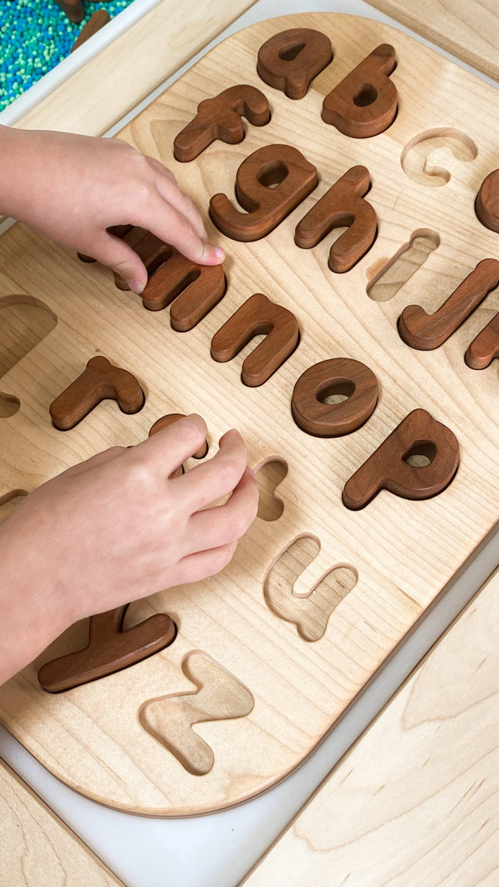 Lower Case Letter Puzzle Insert
