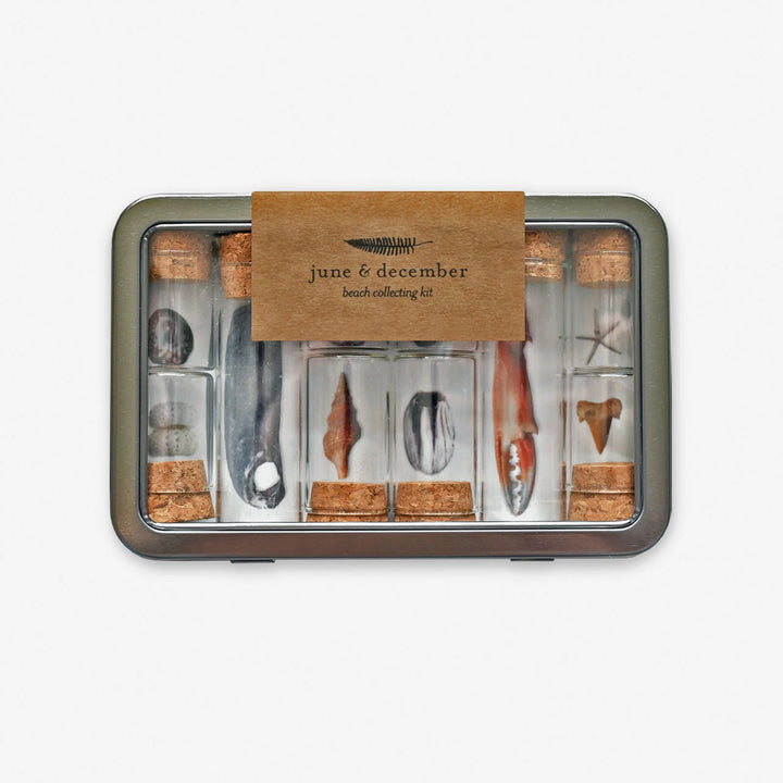 June &amp; December Beach Collecting Kit