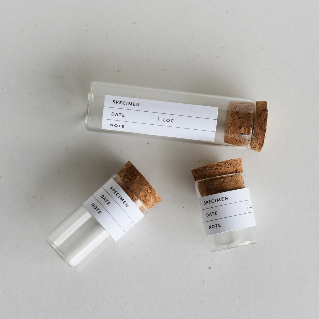 June &amp; December Beach Collecting Kit