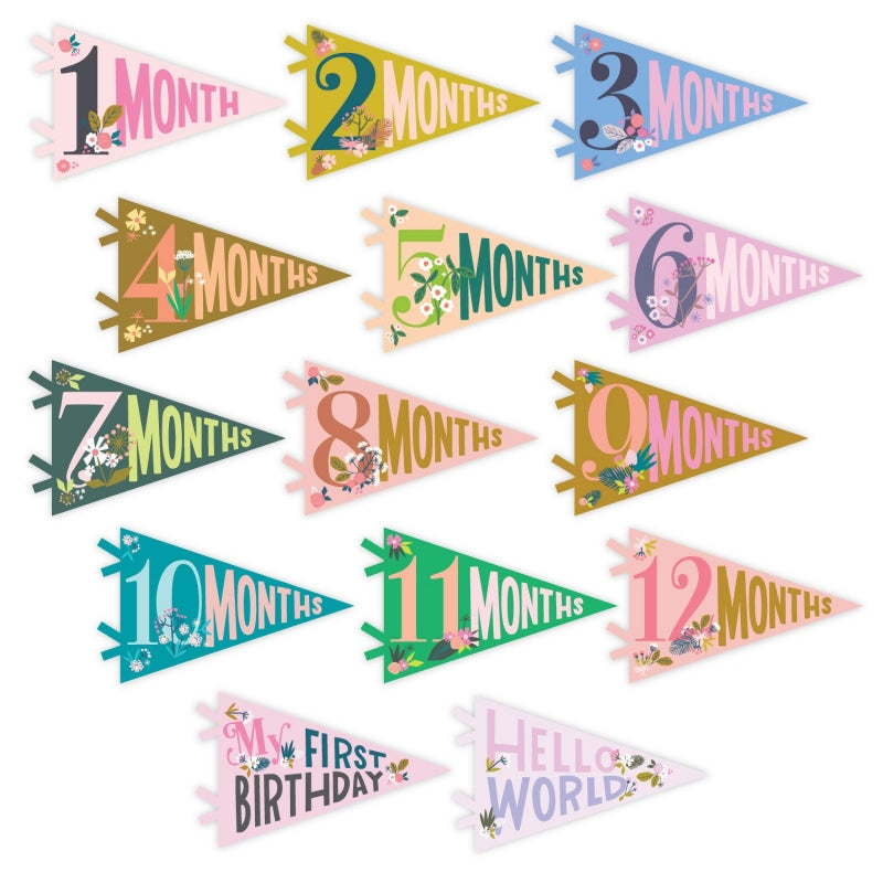 Lucy Darling Little Artist Petit Milestone Pennants
