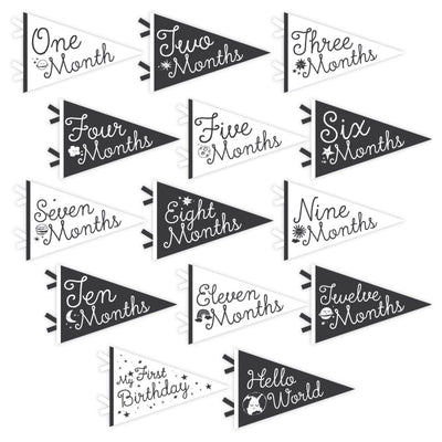 Lucy Darling Little Stargazer Petit Milestone Pennants