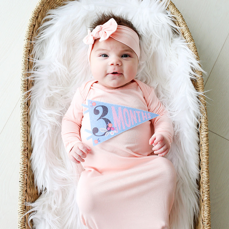 Lucy Darling Little Artist Petit Milestone Pennants