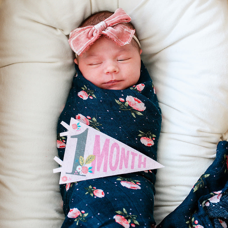 Lucy Darling Little Artist Petit Milestone Pennants