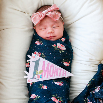 Lucy Darling Little Artist Petit Milestone Pennants