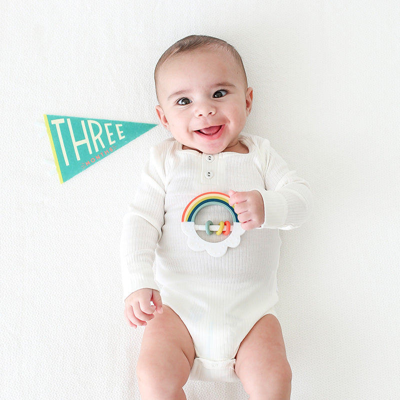 Lucy Darling Little Kaleidoscope Petit Milestone Pennants