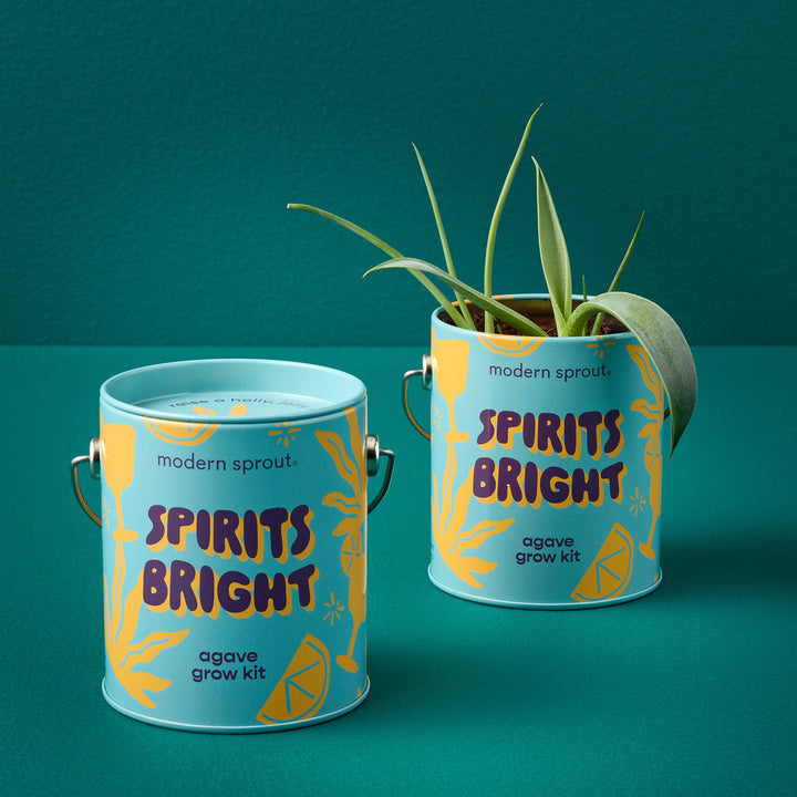 Seasonal Complimentary Colors Grow Kits