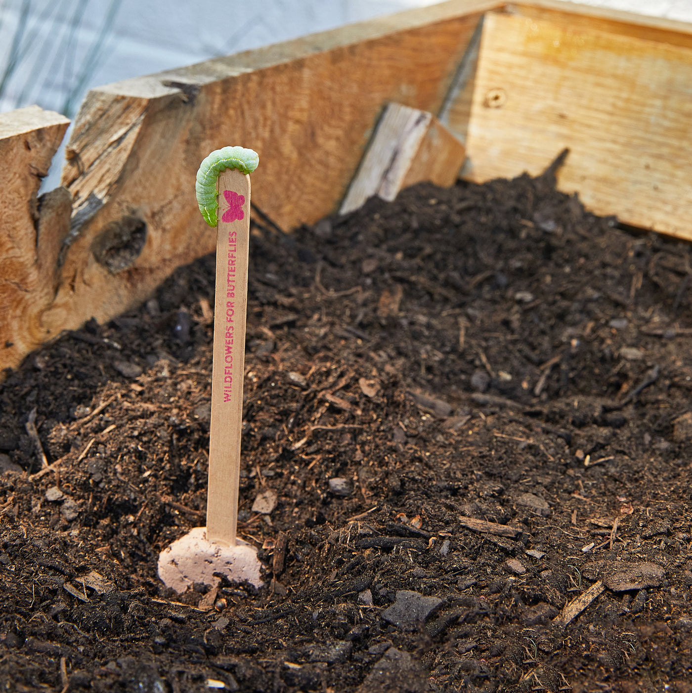 Modern Sprout Seed Pops, Pollinator