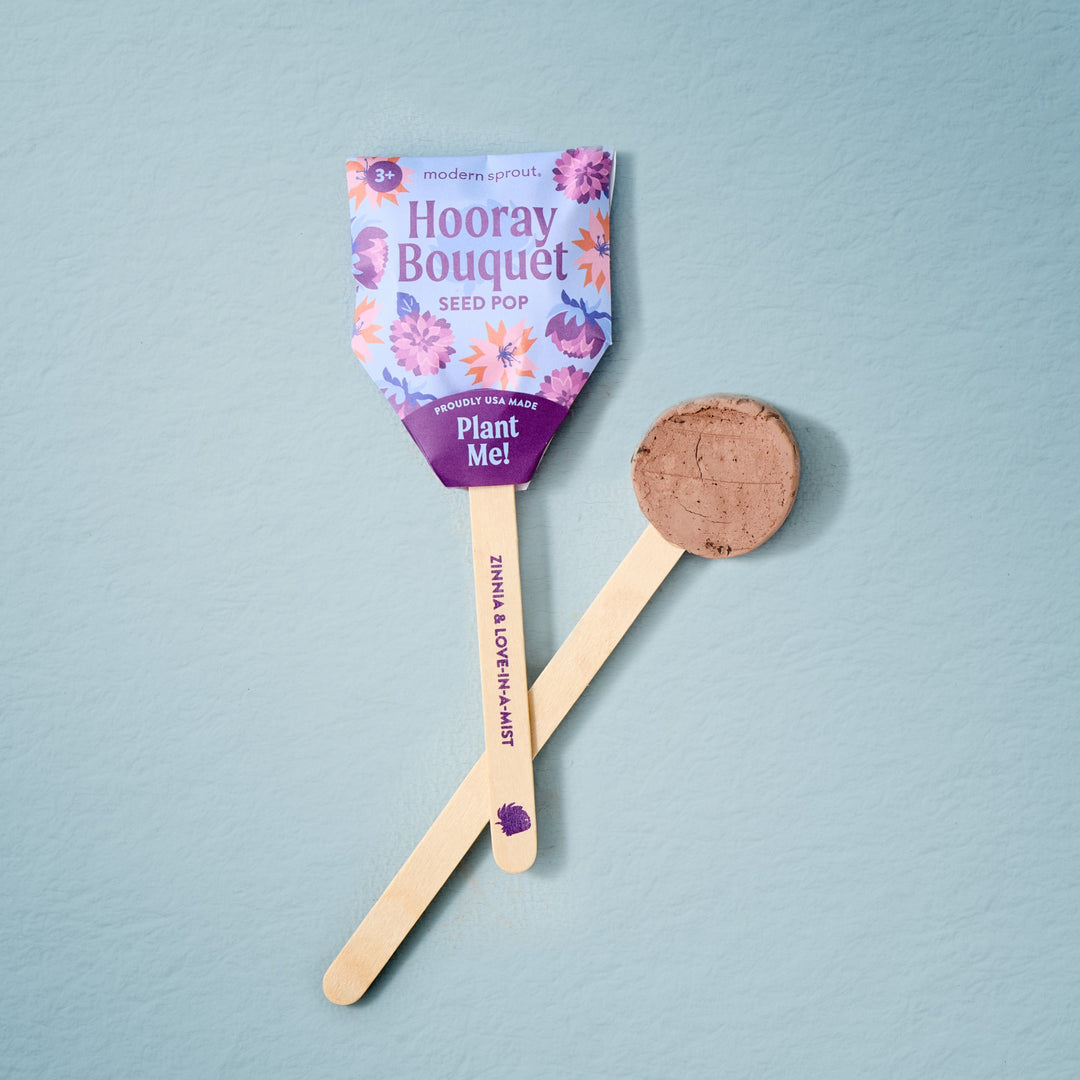 Seed Pops - Flowers