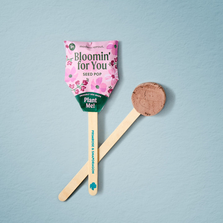 Seed Pops - Flowers