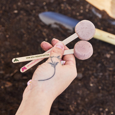 Modern Sprout Seed Pops, Garden