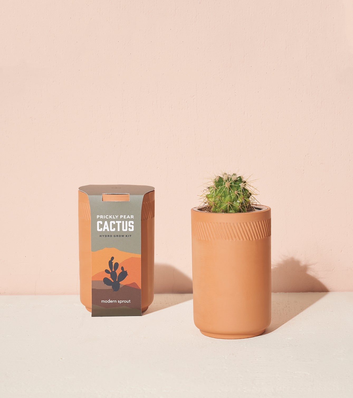 Terracotta Grow Kits