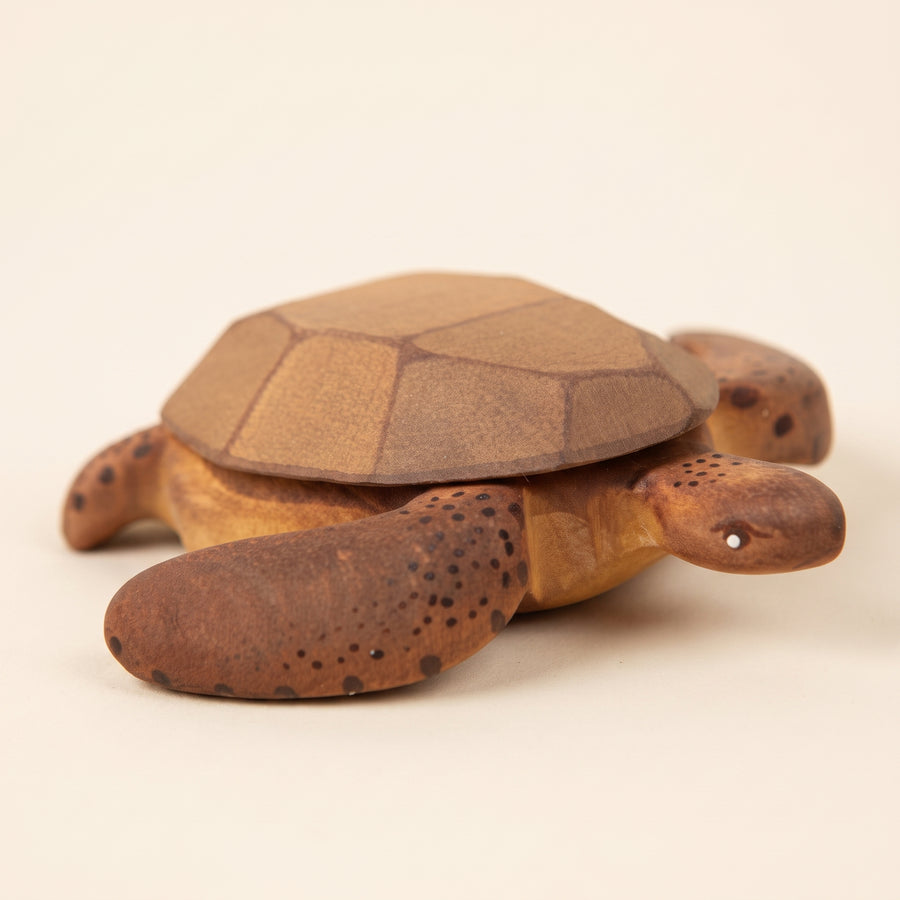 Mako Large Brown Turtle