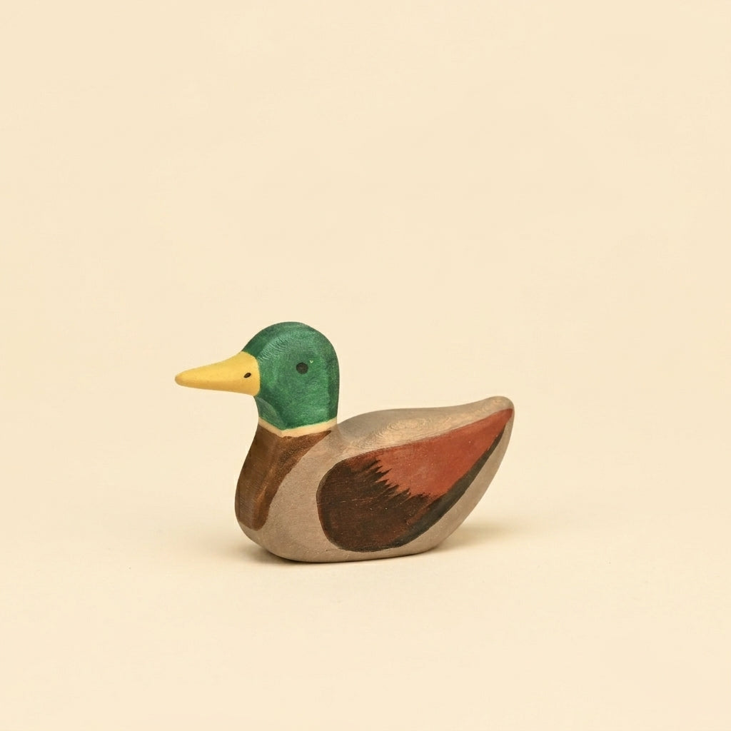 Mako Mallard Duck, Sitting