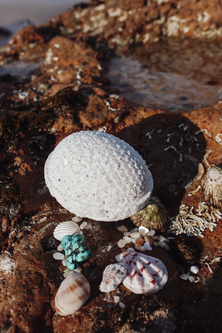 Wild Mountain Child Merfolk PlayFizz Egg